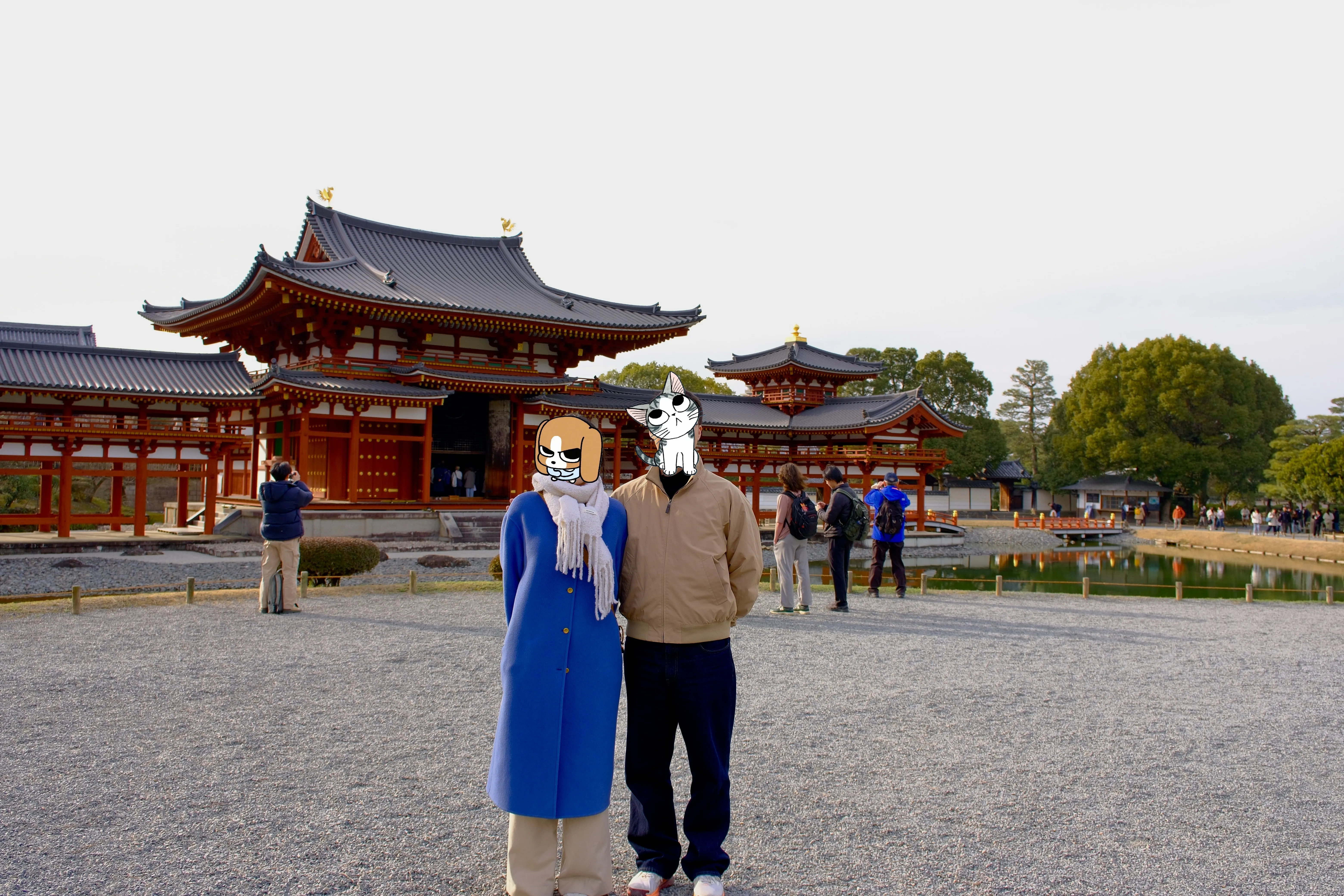 奶牛比格@凤凰堂