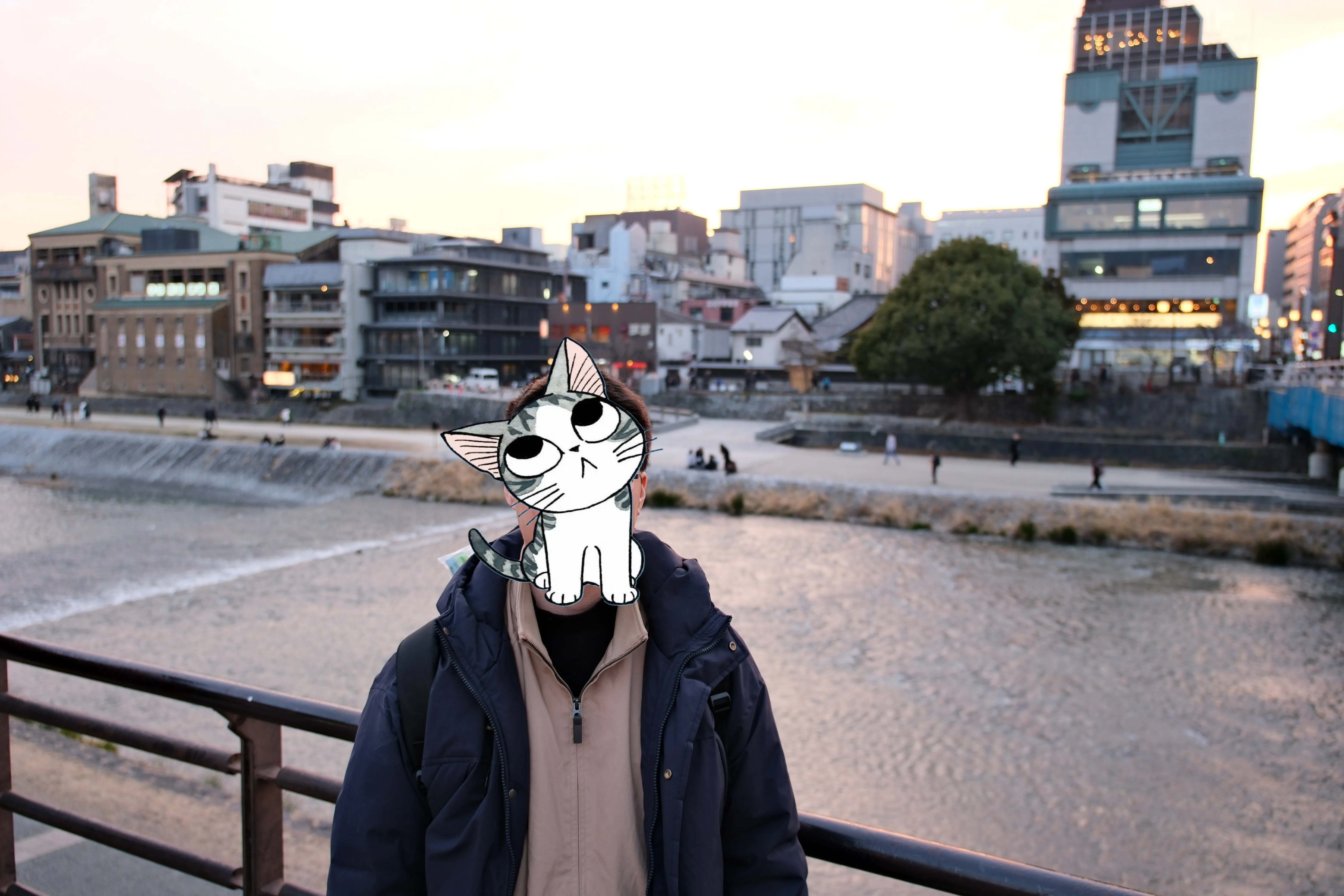 奶牛和鸭川（三条）