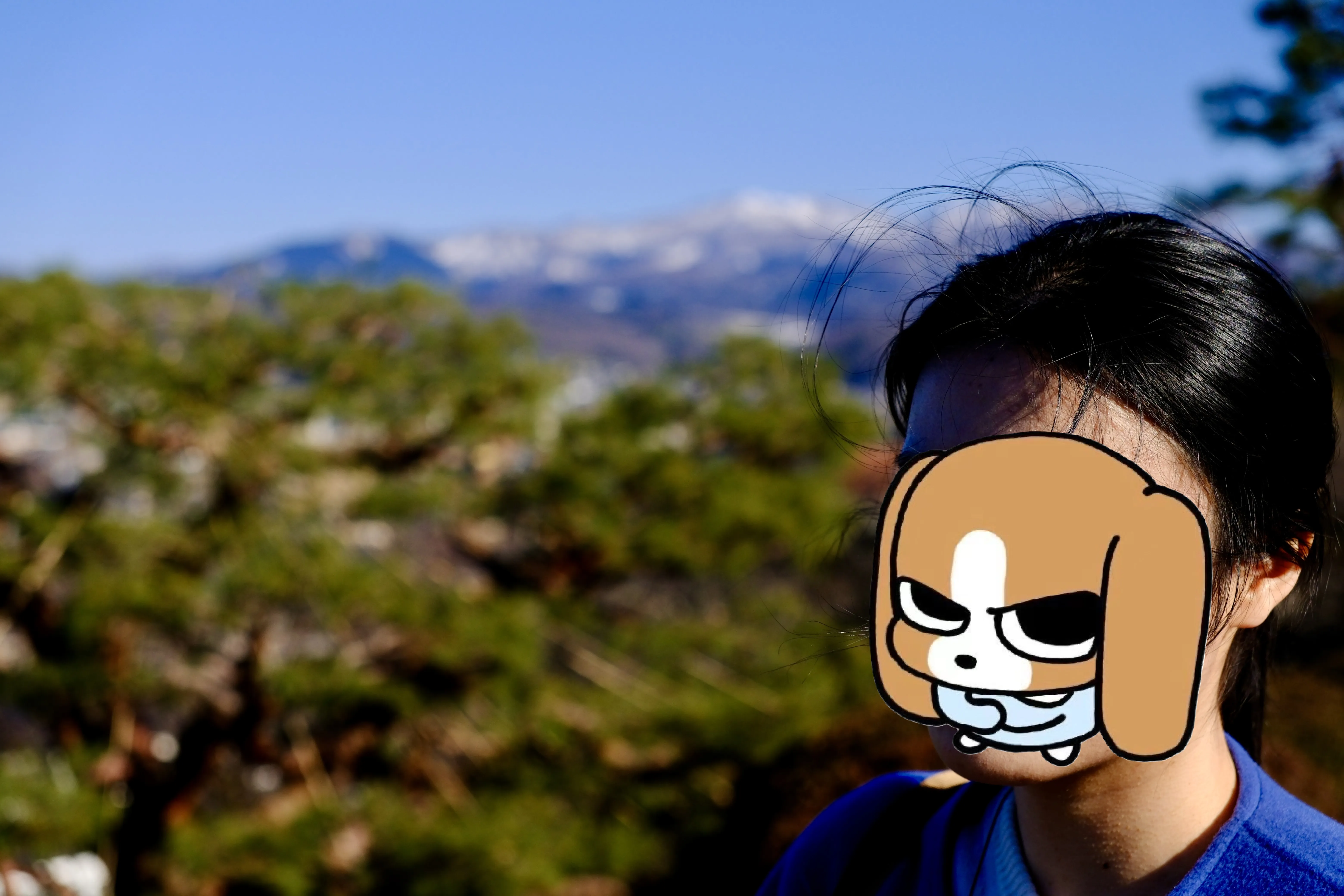 比格和医王山